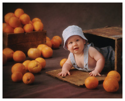 Orange You Glad by Linda Johnson Pricing Limited Edition Print image