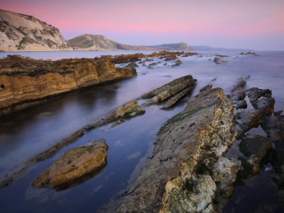 Rocky Ledges Of Mupe Rocks On The Jurassic Coast, Unesco World Heritage Site, Dorset, England, Uk by Adam Burton Pricing Limited Edition Print image