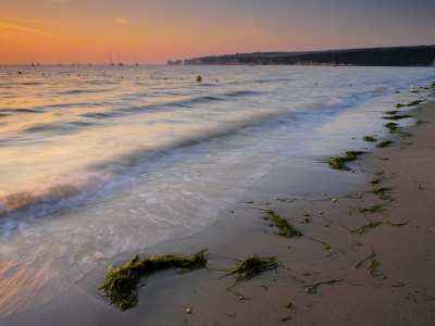 Studland Bay Shore At Dawn, With Old Harry Rocks In The Distance, Studland, Dorset, England, Uk by Adam Burton Pricing Limited Edition Print image