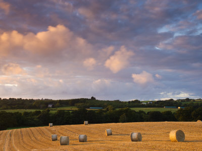 Round Hay Bales In A Field Near Morchard Bishop, Devon, England, United Kingdom, Europe by Adam Burton Pricing Limited Edition Print image