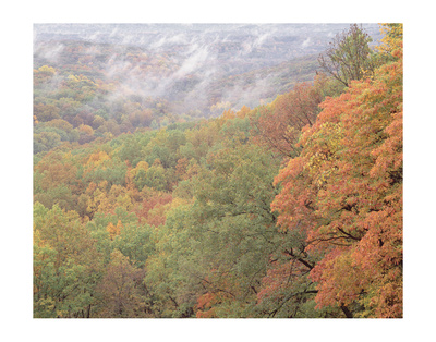 Brown County Overlook 1 by Danny Burk Pricing Limited Edition Print image