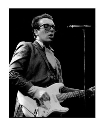 Elvis Costello by Mike Ruiz Pricing Limited Edition Print image