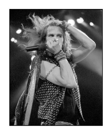 Steven Tyler by Mike Ruiz Pricing Limited Edition Print image
