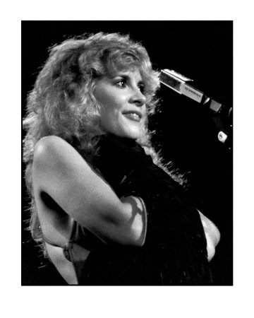 Stevie Nicks by Mike Ruiz Pricing Limited Edition Print image