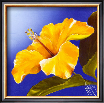 Golden Sunset Hibiscus by Karen Foley Pricing Limited Edition Print image
