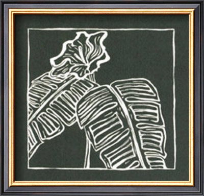 Exotic Woodblock In Black Vi by Chariklia Zarris Pricing Limited Edition Print image