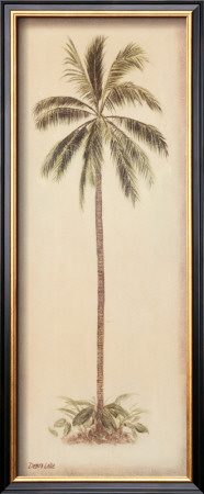 Palm Tree I by Debra Lake Pricing Limited Edition Print image