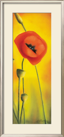 Blushed Poppy by Caroline Wenig Pricing Limited Edition Print image