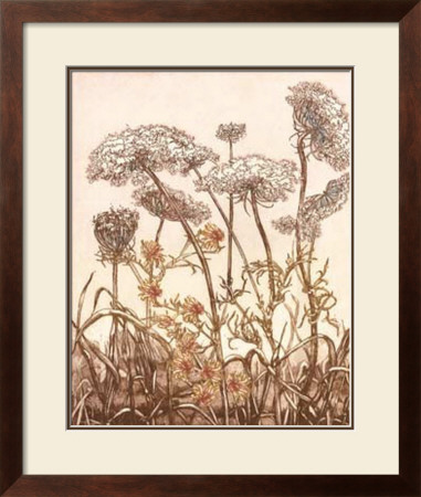 Field Of Lace Ii by B. Dauman Pricing Limited Edition Print image