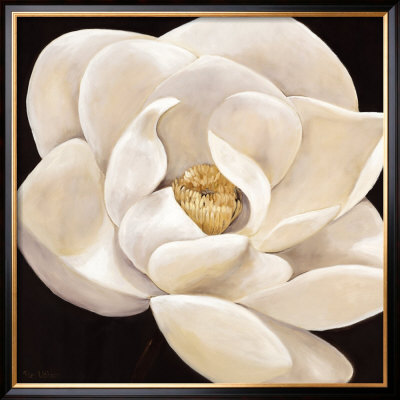 Lotus Flower by Rian Withaar Pricing Limited Edition Print image