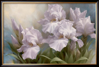 White Iris Elegance Ii by Igor Levashov Pricing Limited Edition Print image