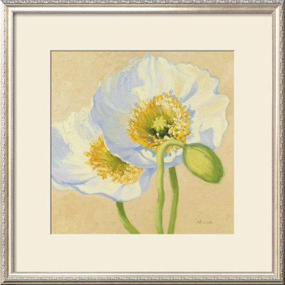 White Poppies Iii by Shirley Novak Pricing Limited Edition Print image