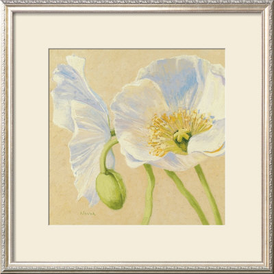 White Poppies Ii by Shirley Novak Pricing Limited Edition Print image