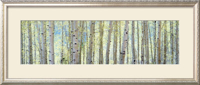 Aspen by Shelley Lake Pricing Limited Edition Print image