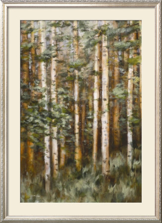 Aspen Beauty Ii by Scott Lee Pricing Limited Edition Print image