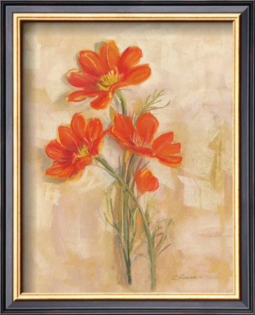 Spicy Orange Cosmos by Carol Rowan Pricing Limited Edition Print image