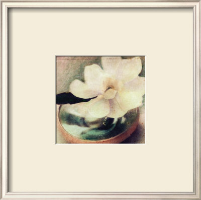Nature's Blossoms Iii by Susan Friedman Pricing Limited Edition Print image