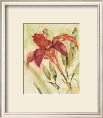 Red Day Lily by Cheri Blum Pricing Limited Edition Print image