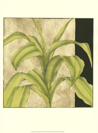 Leaf Tropics I by Jennifer Goldberger Pricing Limited Edition Print image