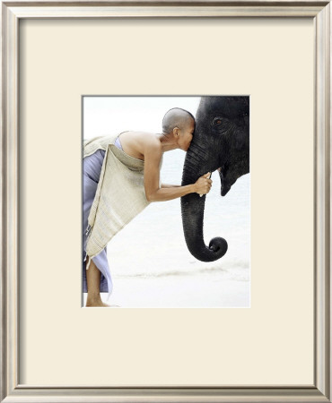 Nose To Nose, Thailand by David Trood Pricing Limited Edition Print image