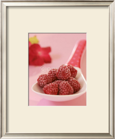 Pink Raspberries by Sara Deluca Pricing Limited Edition Print image