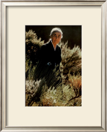 O`Keeffe With Chamisa by Springmann Pricing Limited Edition Print image