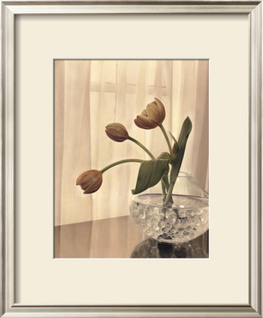 Window Light Ii by Kathryn Boggs Pricing Limited Edition Print image