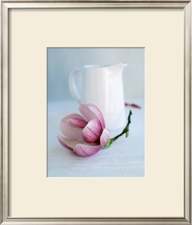 Magnolia Du Matin by Amelie Vuillon Pricing Limited Edition Print image