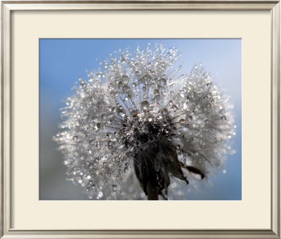 Crystal Clear Bouquet by Mikio Watanabe Pricing Limited Edition Print image
