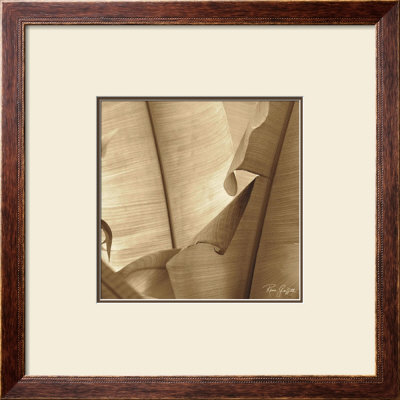 Banana Leaves Ii by Rene Griffith Pricing Limited Edition Print image