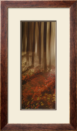 Forest In Pink Iii by Steven Mitchell Pricing Limited Edition Print image
