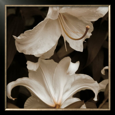 White Lilies by Rebecca Swanson Pricing Limited Edition Print image