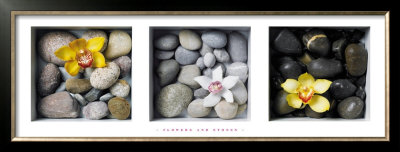 Flowers And Stones by Dave Brullmann Pricing Limited Edition Print image