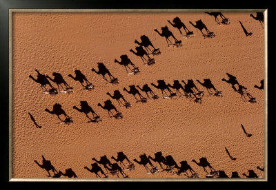 Caravanes De Dromadaires Pres De Fachi by Yann Arthus-Bertrand Pricing Limited Edition Print image