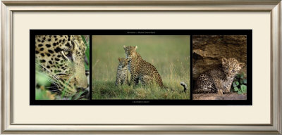 Leopard Family by Michel & Christine Denis-Huot Pricing Limited Edition Print image
