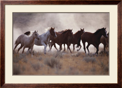 Grassland Herd by David R. Stoecklein Pricing Limited Edition Print image