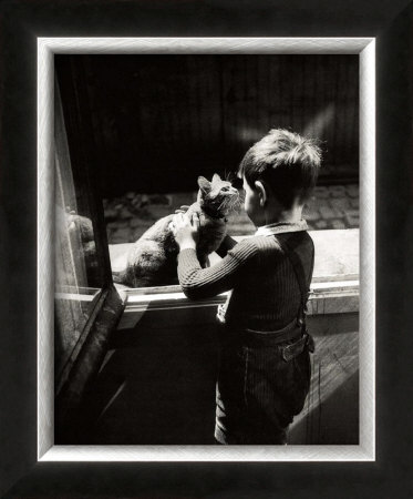 The Caretaker's Cat by Willy Ronis Pricing Limited Edition Print image