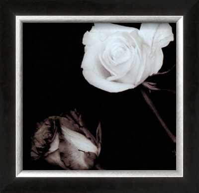 Two Roses by Angelos Zimaras Pricing Limited Edition Print image
