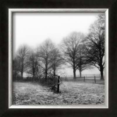 Fence Row And Trees by Harold Silverman Pricing Limited Edition Print image