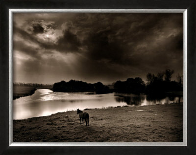 Horse Looking At The River, Normandie 99 by Olivier Meriel Pricing Limited Edition Print image
