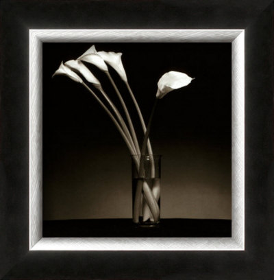 Arums by Pierre Michaud Pricing Limited Edition Print image