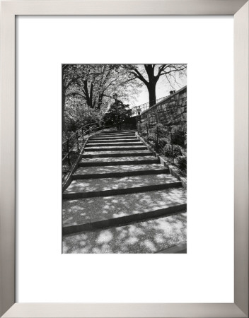 Stairs Up, Central Park, New York City by Bill Perlmutter Pricing Limited Edition Print image