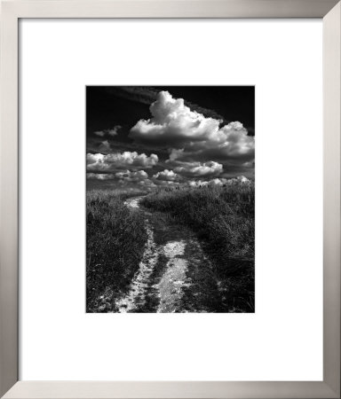 Decroche, Moi Un Nuage by Pascale De Lattre Pricing Limited Edition Print image