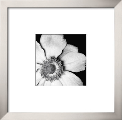 Sunburst Iv by Boyce Watt Pricing Limited Edition Print image