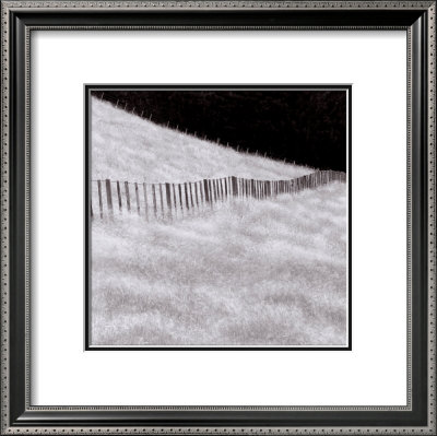 Fence And Field by Chip Forelli Pricing Limited Edition Print image