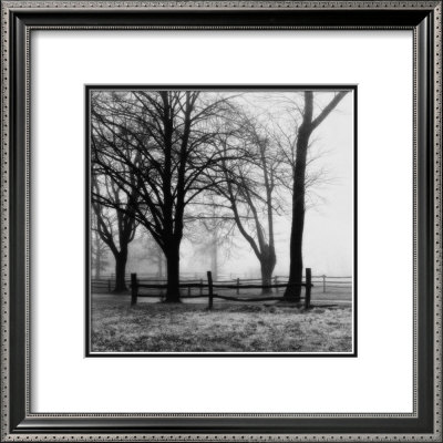 Woods With Fence by Harold Silverman Pricing Limited Edition Print image