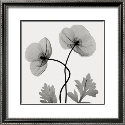 Poppies I by Don Dudenbostel Pricing Limited Edition Print image