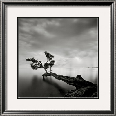 Water Tree by Moises Levy Pricing Limited Edition Print image