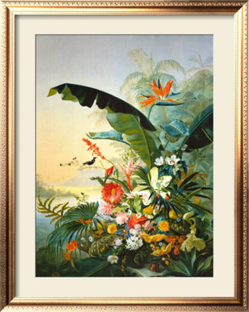 In The Tropics by Osias Beert Pricing Limited Edition Print image