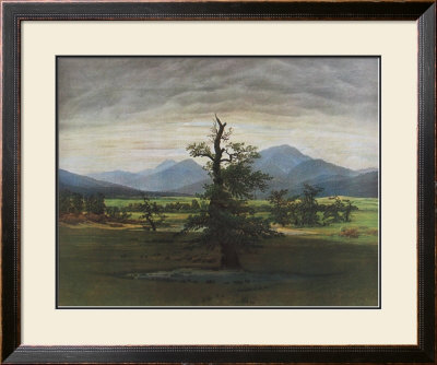 The Lonely Tree by Caspar David Friedrich Pricing Limited Edition Print image